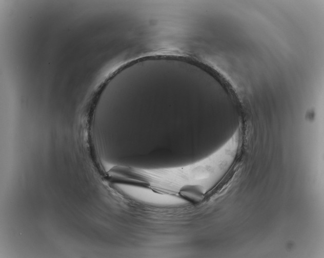 X0000097641455200803211821