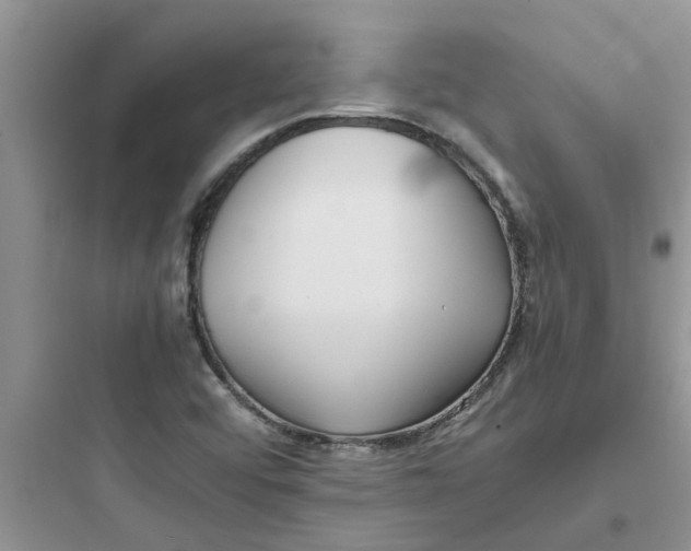 X0000097641456200803211821