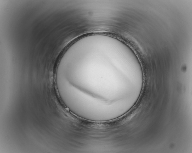 X0000097641457200803211821