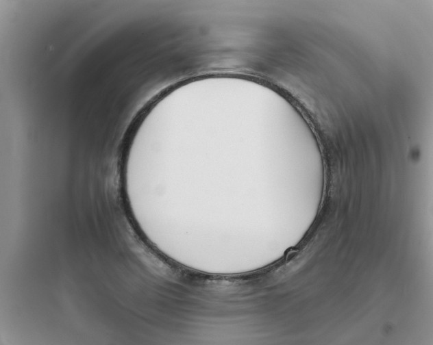 X0000097641458200803211821