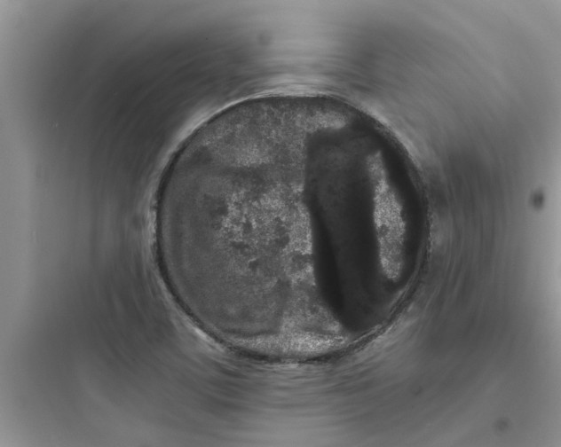 X0000097641459200803211821