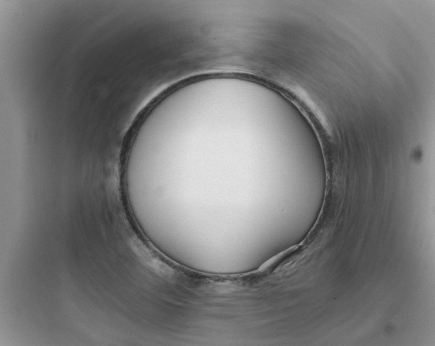 X0000097641460200803211821