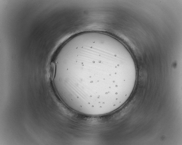 X0000097641461200803211821