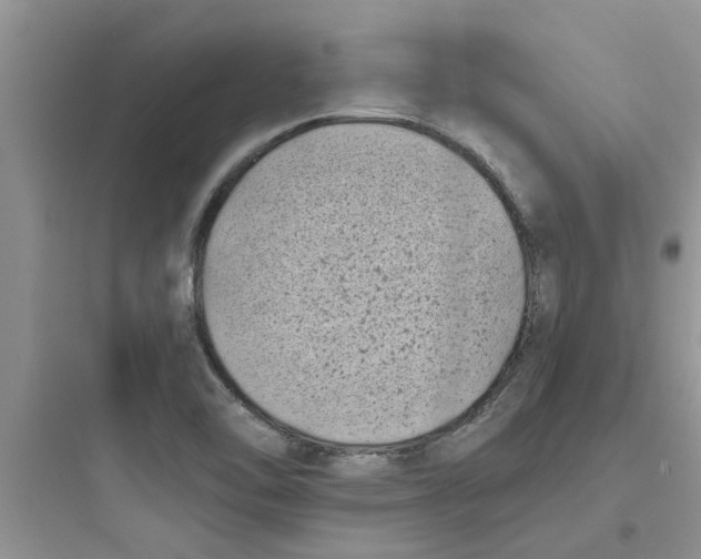 X0000097641462200803211821