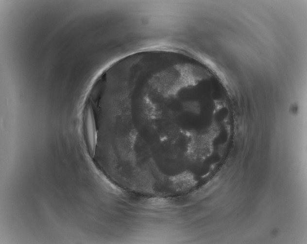 X0000097641463200803211821