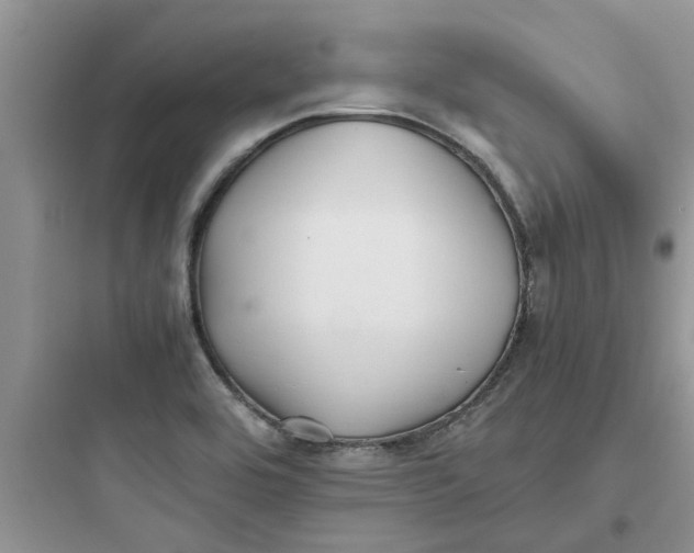 X0000097641464200803211821