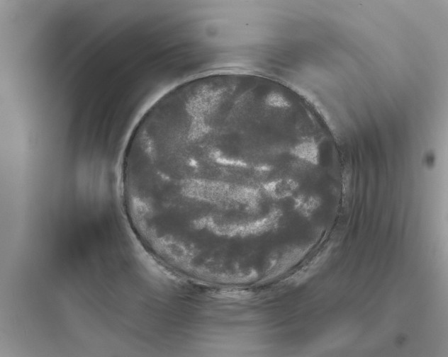 X0000097641466200803211821