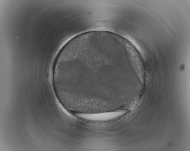 X0000097641468200803211821