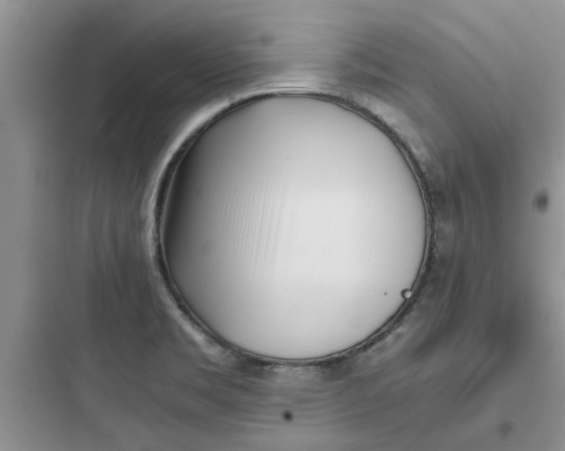 X0000097641469200803211821