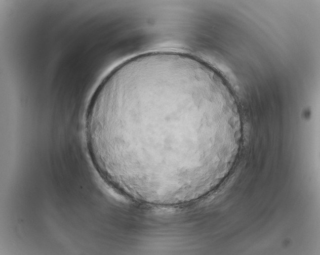 X0000097641470200803211821