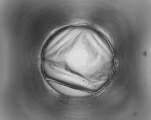 X0000097641471200803211821