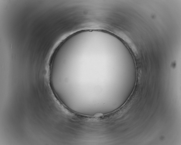 X0000097641472200803211821