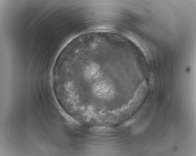 X0000097641474200803211821