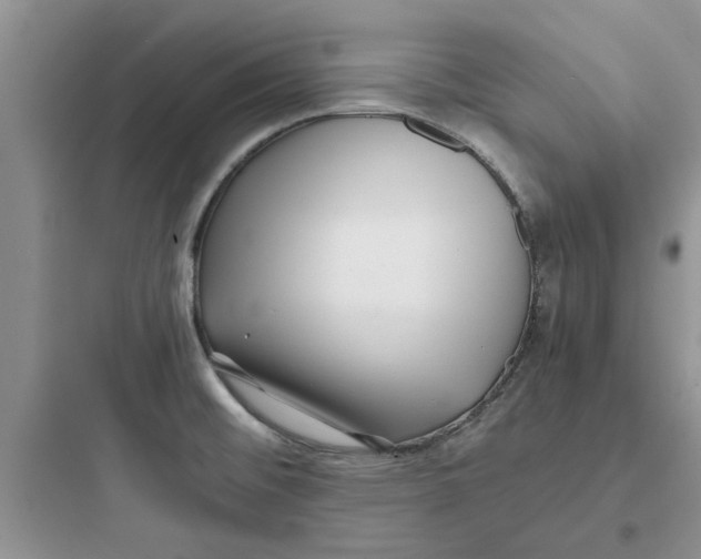 X0000097641476200803211821