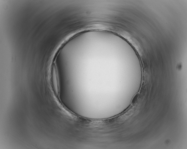 X0000097641477200803211821