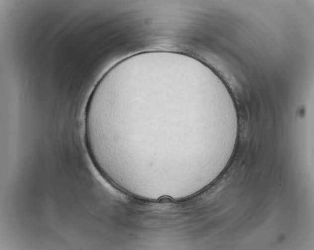 X0000097641479200803211821