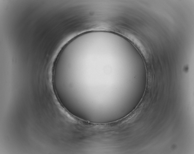 X0000097641480200803211821