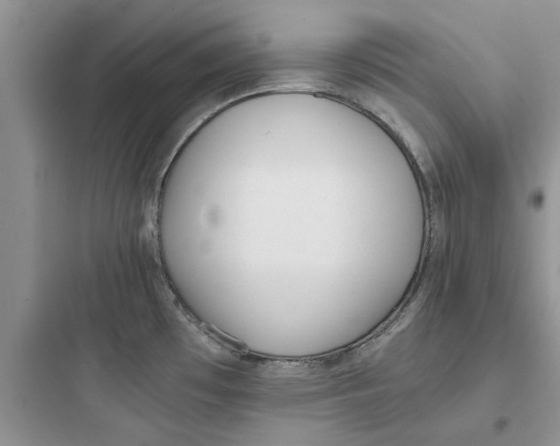 X0000097641481200803211821