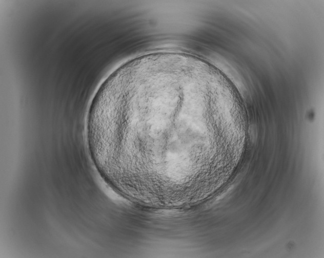 X0000097641482200803211821