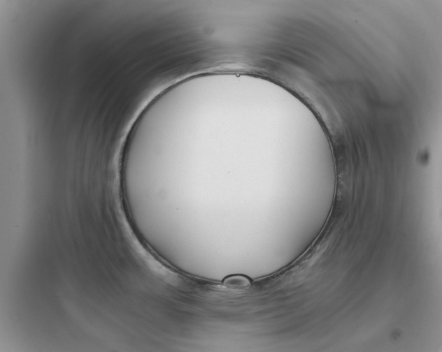 X0000097641483200803211821