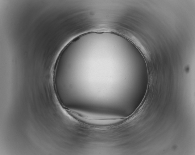 X0000097641484200803211821