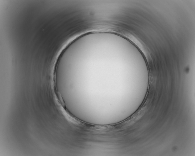 X0000097641485200803211821