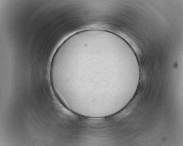 X0000097641486200803211821