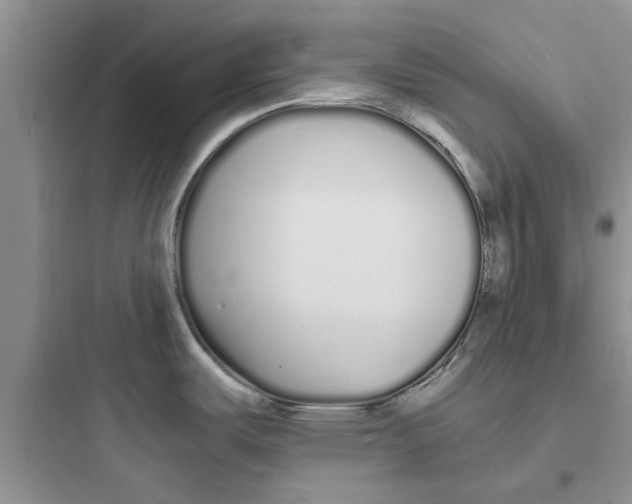 X0000097641487200803211821