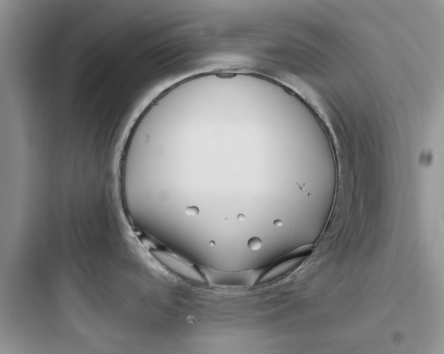 X0000097641488200803211821