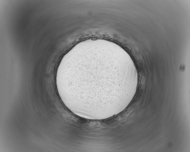 X0000097641489200803211820