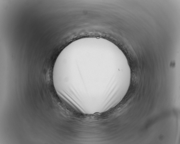 X0000097641490200803211820