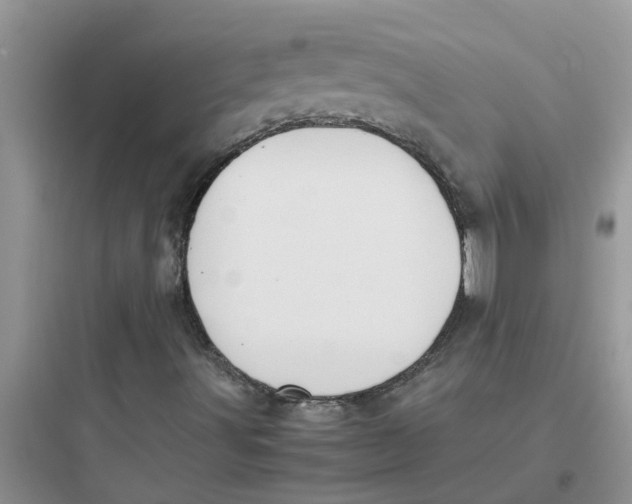 X0000097641491200803211820