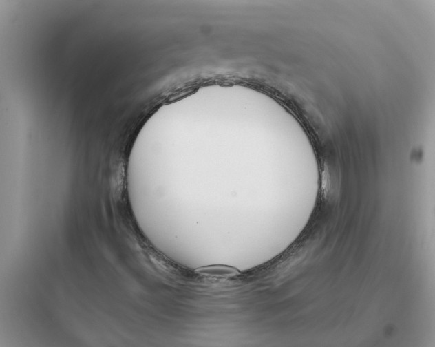 X0000097641492200803211820