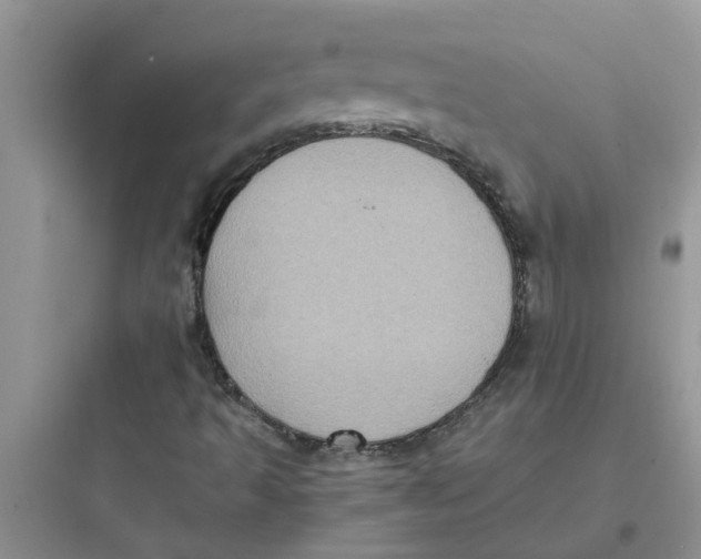 X0000097641493200803211820