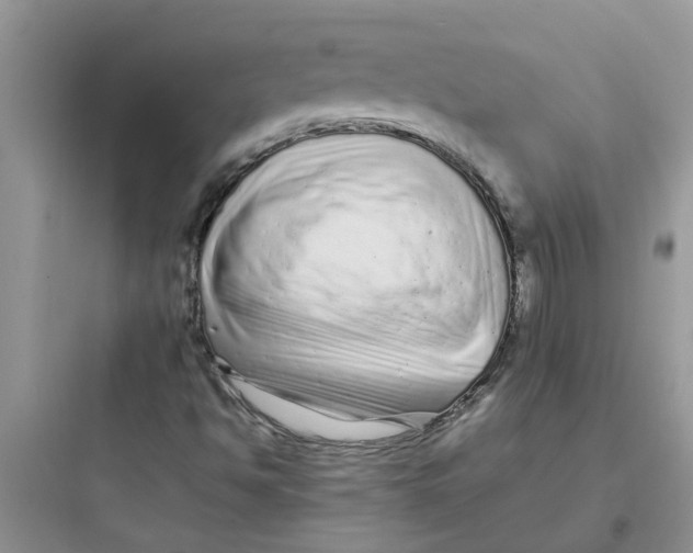 X0000097641494200803211820