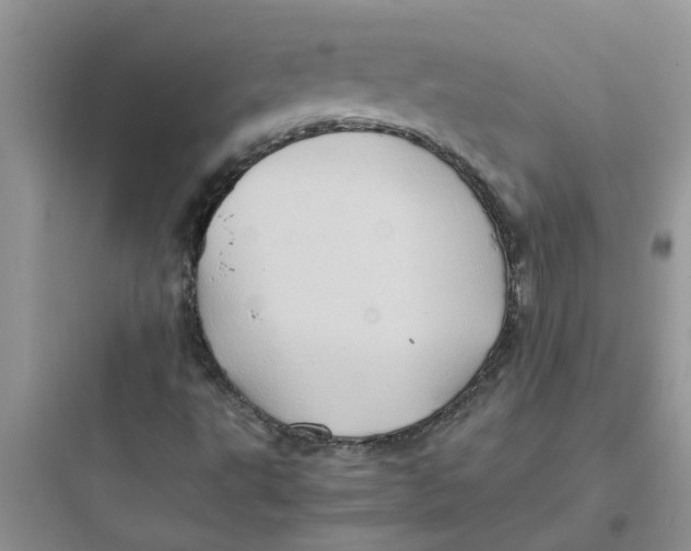 X0000097641495200803211820