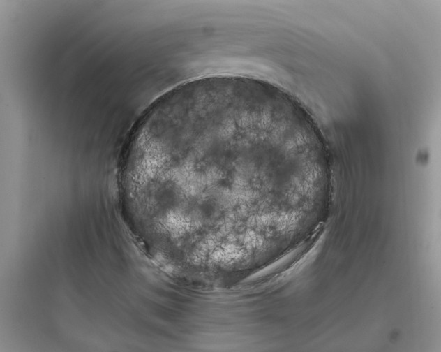 X0000097641497200803211820