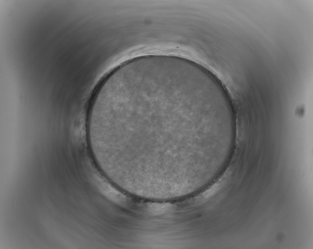 X0000097641498200803211820