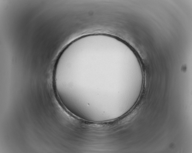 X0000097641500200803211820