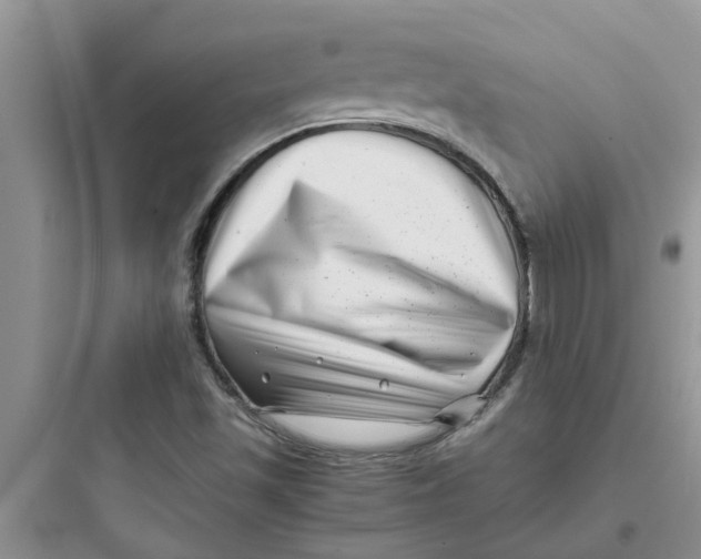 X0000097641501200803211820