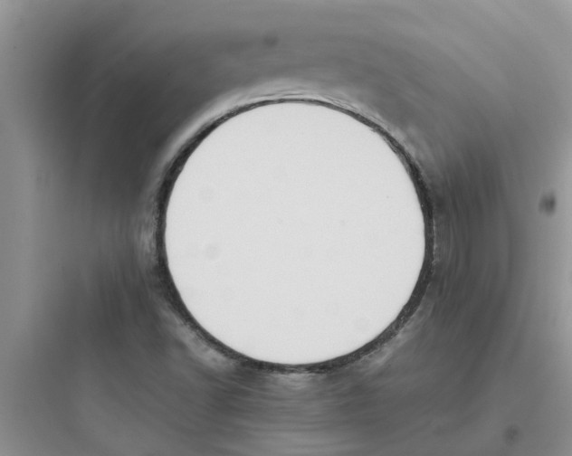 X0000097641502200803211820