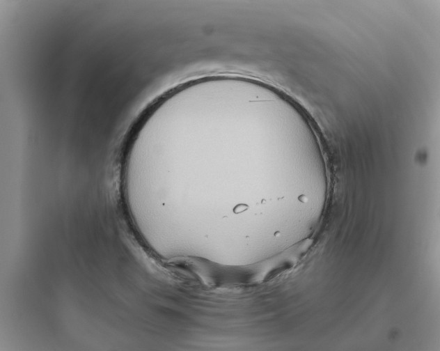 X0000097641503200803211820