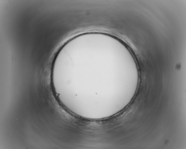 X0000097641504200803211820