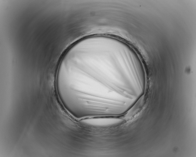 X0000097641505200803211820