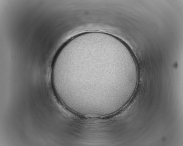 X0000097641507200803211820