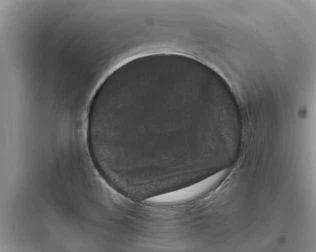 X0000097641508200803211820