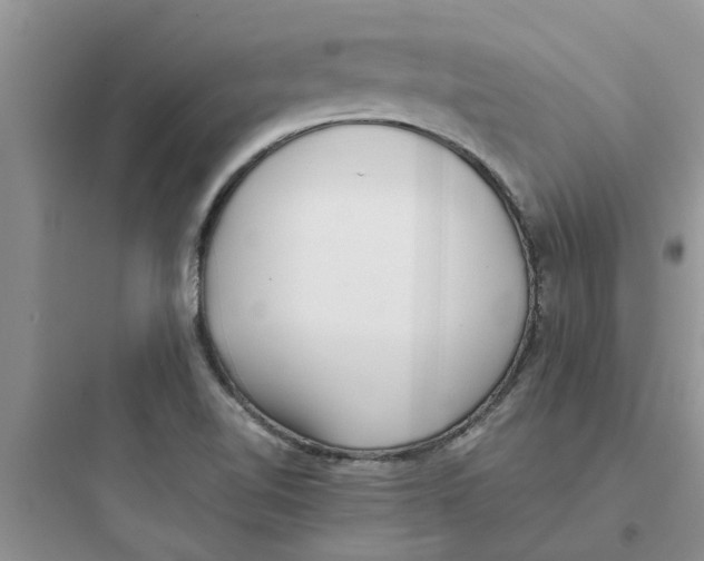 X0000097641510200803211821