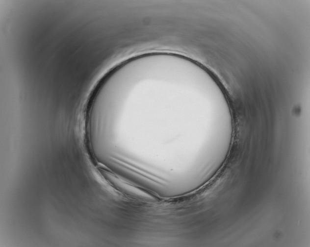 X0000097641511200803211821