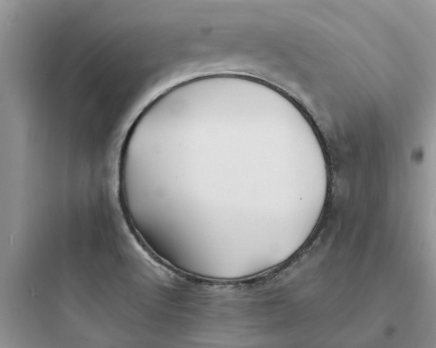 X0000097641512200803211821