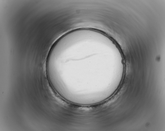 X0000097641513200803211821